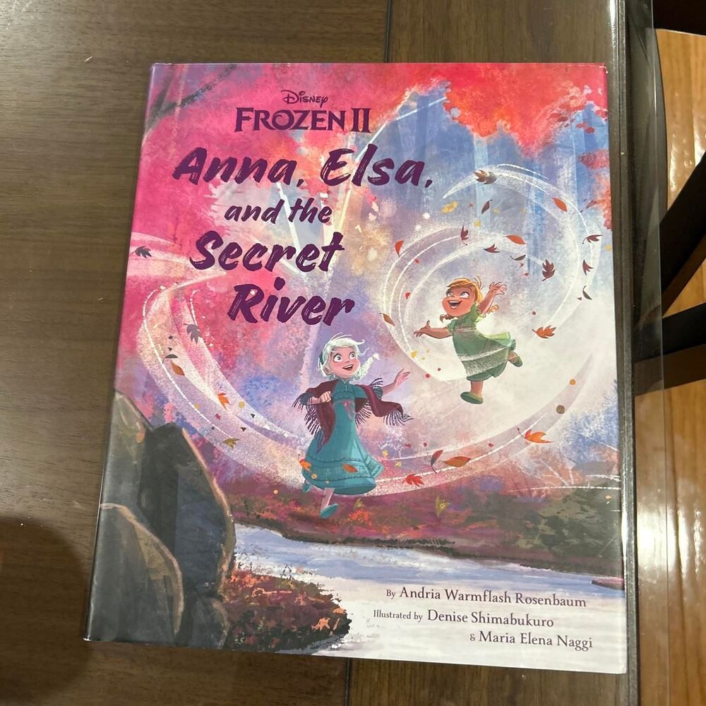 Disney Frozen II Anna, Elsa, and the Secret River book #frozen #kidsbook